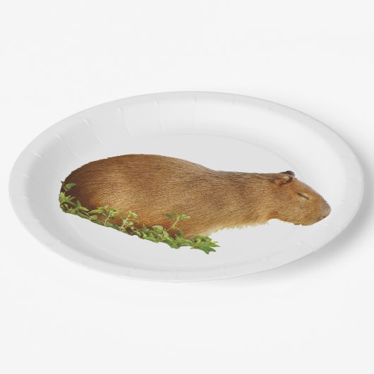 Assiettes En Carton capybara paper plate (Angle)