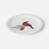 Assiettes En Carton Cardinal (Angle)