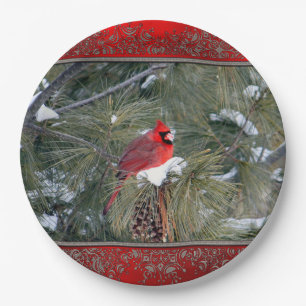Assiettes En Carton Cardinal 3097 Plaque en papier