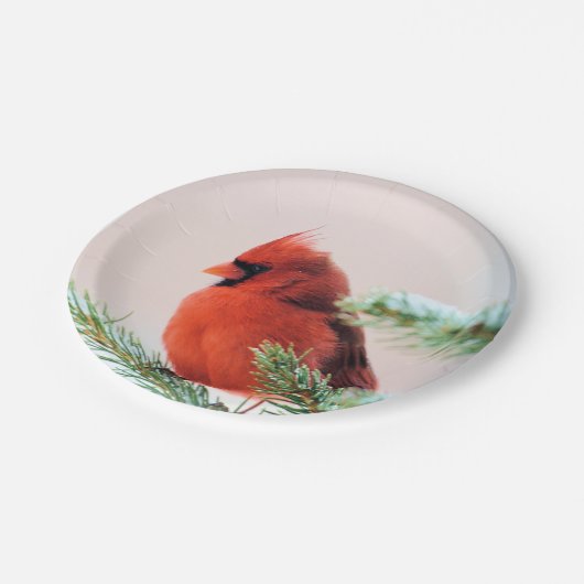 Assiettes En Carton Cardinal dans le sapin à neige (Angle)
