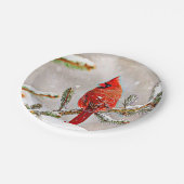 Assiettes En Carton Cardinal dans un pin (Angle)