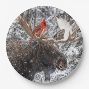 Assiettes En Carton Cardinal rouge de Noël sur des bois de orignal enn
