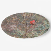 Assiettes En Carton Cardinal rouge sur Forsythia Hedge (Angle)