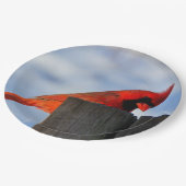 Assiettes En Carton Cardinal rouge sur la souche en bois (Angle)