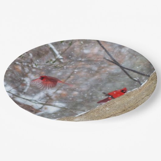 Assiettes En Carton Cardinaux dans la neige (Angle)