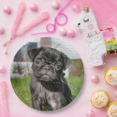 Assiettes En Carton carlin DISPONIBLE (Fête)