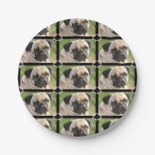 Assiettes En Carton Carlin mignon (Devant)