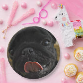 Assiettes En Carton carlin noir qui lèche (Fête)