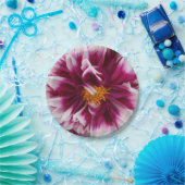 Assiettes En Carton Cartheuserine (Fête)