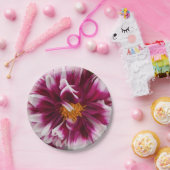 Assiettes En Carton Cartheuserine (Fête)