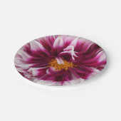 Assiettes En Carton Cartheuserine (Angle)