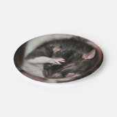 Assiettes En Carton Casque (Angle)