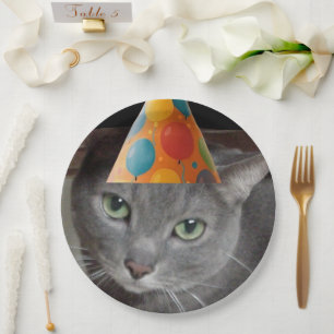 Assiettes En Carton Casquette du parti Gray Cat