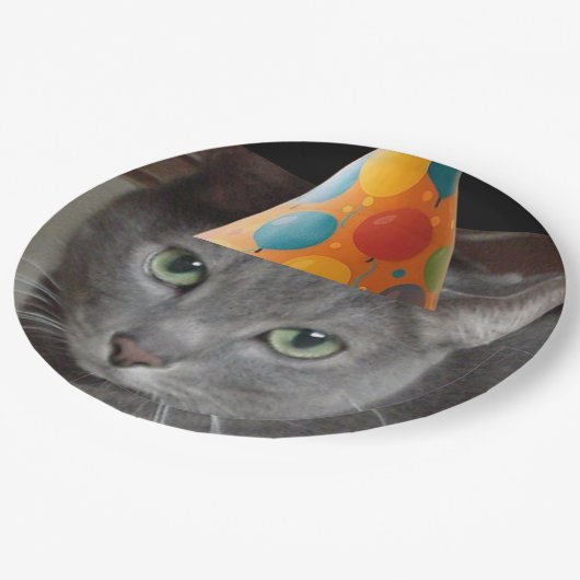 Assiettes En Carton Casquette du parti Gray Cat (Angle)