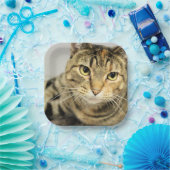 Assiettes En Carton Cat (Fête)