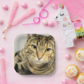 Assiettes En Carton Cat (Fête)