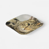 Assiettes En Carton Cat (Angulaire)