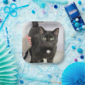 Assiettes En Carton Cat (Fête)