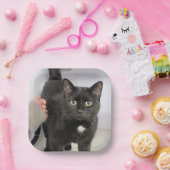 Assiettes En Carton Cat (Fête)