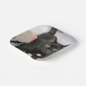 Assiettes En Carton Cat (Angulaire)