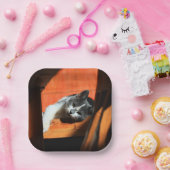 Assiettes En Carton Cat (Fête)