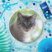 Assiettes En Carton Cat (Fête)