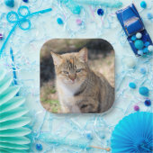 Assiettes En Carton Cat (Fête)