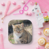 Assiettes En Carton Cat (Fête)