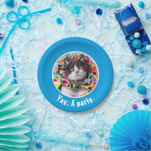 Assiettes En Carton Cat In Party Cone (Fête)