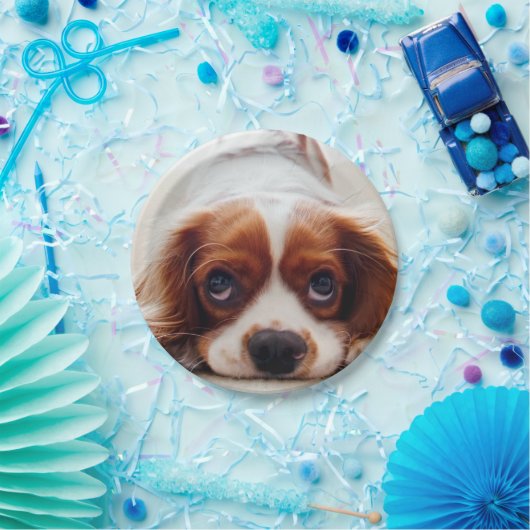Assiettes En Carton Cavalier Charles Spaniel (Fête)