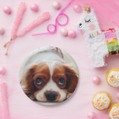 Assiettes En Carton Cavalier Charles Spaniel (Fête)