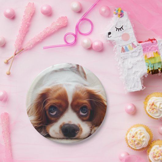 Assiettes En Carton Cavalier Charles Spaniel (Fête)