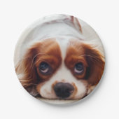 Assiettes En Carton Cavalier Charles Spaniel (Devant)