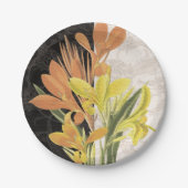 Assiettes En Carton Centre I (Devant)