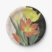 Assiettes En Carton Centre II (Devant)