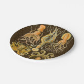 Assiettes En Carton Cephalopod poulpe calmar Nature marine (Angle)