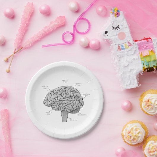 Assiettes En Carton Cerveau scientifique (Fête)