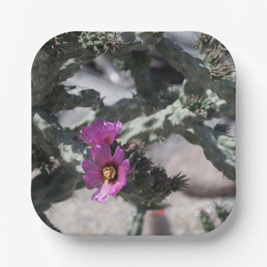 Assiettes En Carton Challa Cactus en fleurs (Recto)