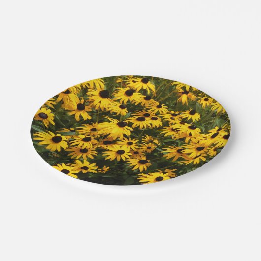 Assiettes En Carton Champ de plaque à papier observée par noir de (Angle)