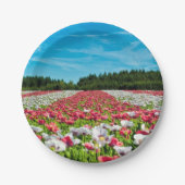 Assiettes En Carton Champ rouge et blanc (Devant)