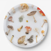 Assiettes En Carton Champignons (Devant)