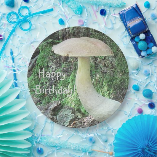 Assiettes En Carton Champignons dans la forêt Anniversaire (Fête)