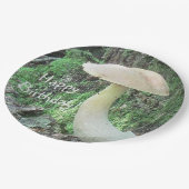 Assiettes En Carton Champignons dans la forêt Anniversaire (Angle)