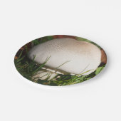 Assiettes En Carton Champignons de champ (Angle)