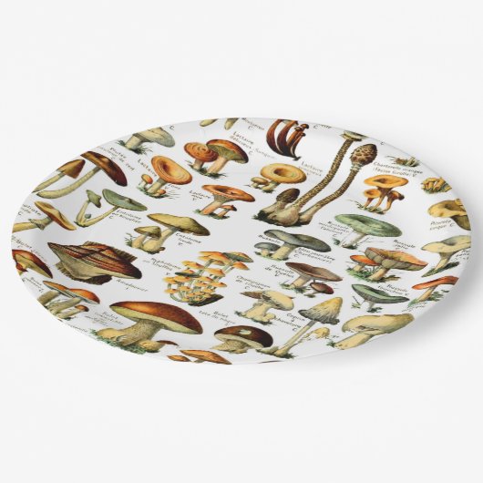 ASSIETTES EN CARTON CHAMPIONNATS 4 (Angle)