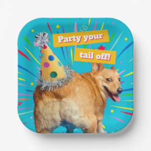 Assiettes En Carton Chapeau d'anniversaire pour derrière de Corgi