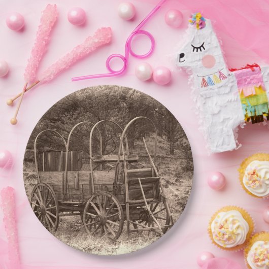 ASSIETTES EN CARTON CHARIOT COUVERT (Fête)