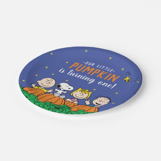 Assiettes En Carton Charlie Brown et Gang Citrouille 1er anniversaire (Angle)