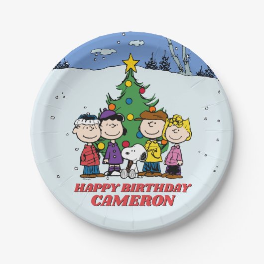 Assiettes En Carton Charlie Brown et ses amis Anniversaire d'hiver (Devant)