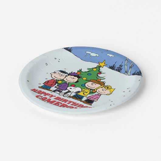 Assiettes En Carton Charlie Brown et ses amis Anniversaire d'hiver (Angle)